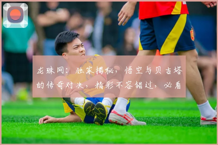 龙珠网：独家揭秘，悟空与贝吉塔的传奇对决，精彩不容错过，必看