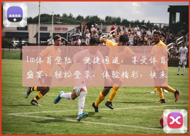 lm体育登陆，便捷通道，享受体育盛宴，轻松登录，体验精彩，快来加入
